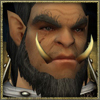 Rakoon's Avatar